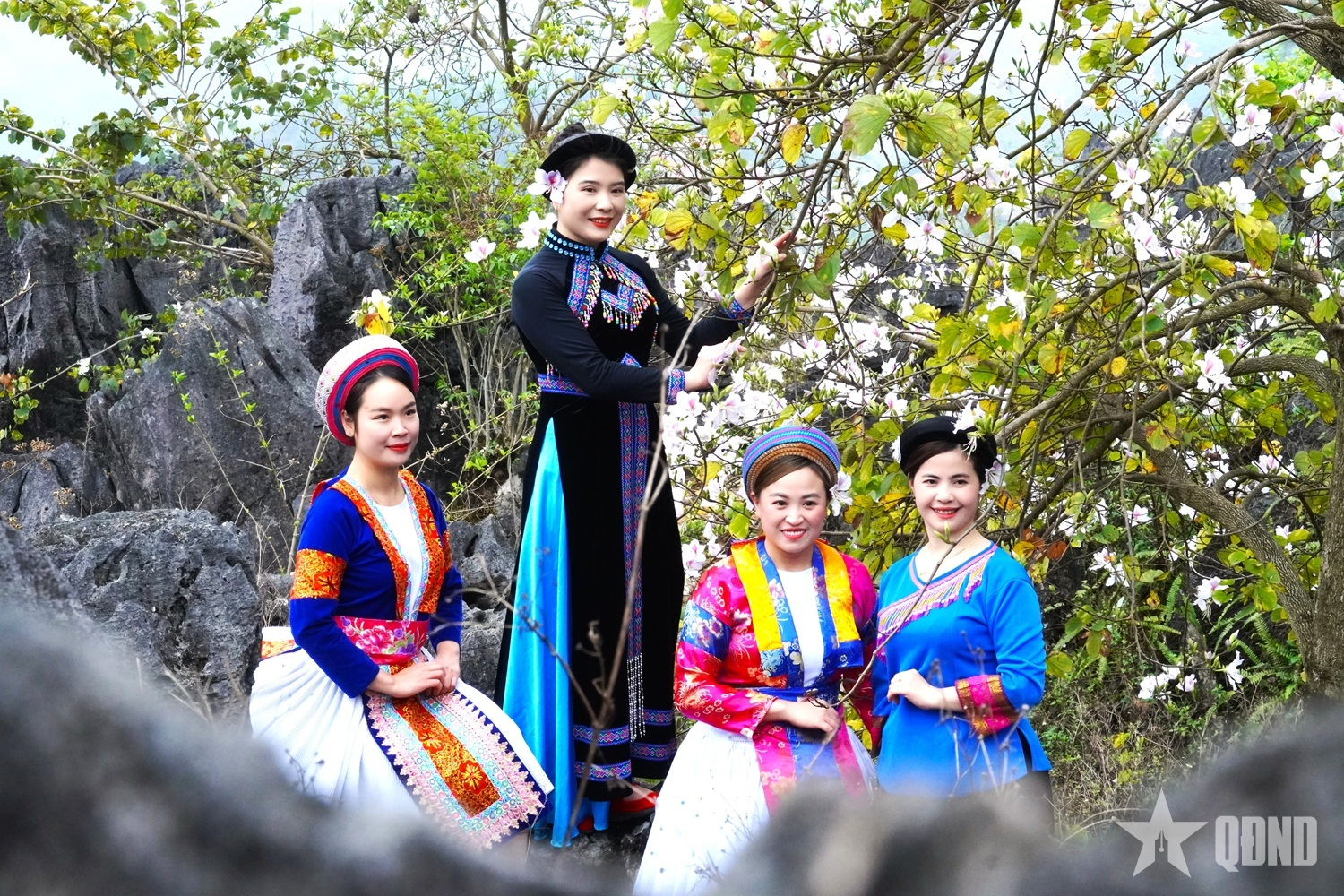 Tuyên Quang: Xã Khâu Vai tổ chức Lễ hội hoa Mộc miên và hoa Ban lần thứ nhất năm 2026

